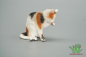 Preview: Schleich Katze putzend 13675